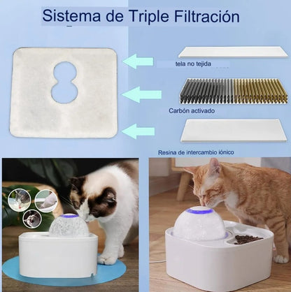 Fuente 2 en 1 Para Mascotas