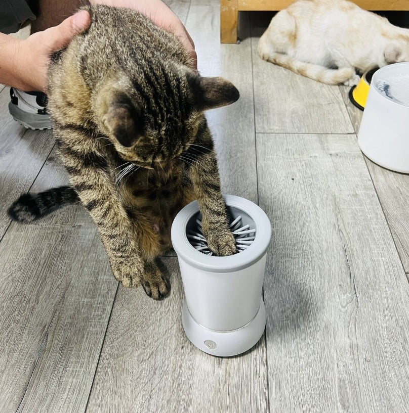 Limpiador de patas para mascota